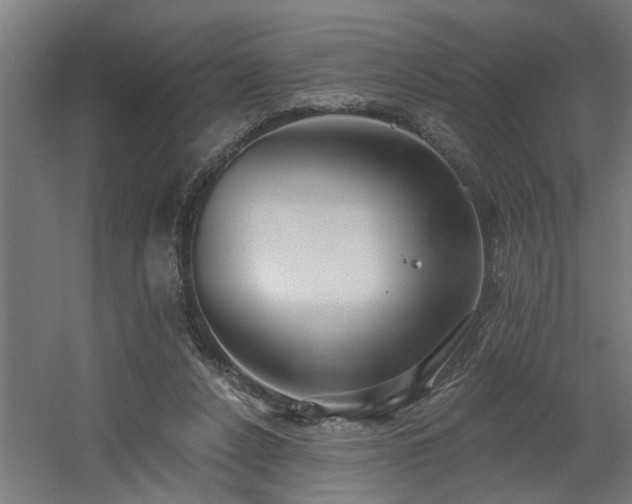 X0000060560256200511031251