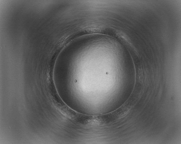 X0000060560259200511031251