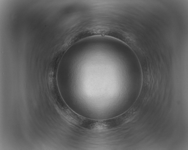 X0000060560263200511031251