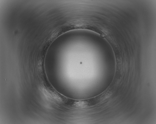 X0000060560269200511031251