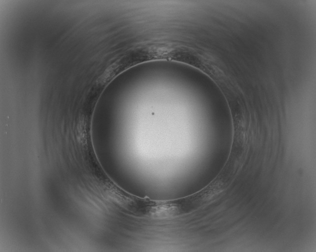 X0000060560274200511031251