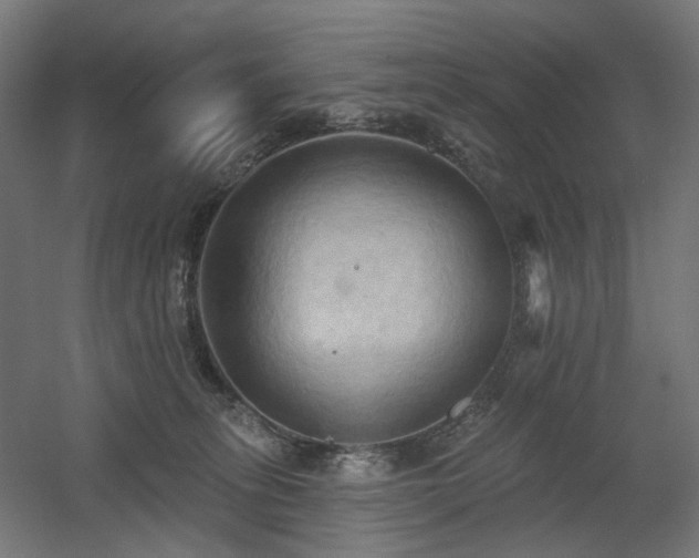 X0000060560275200511031251