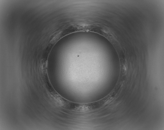 X0000060560276200511031251