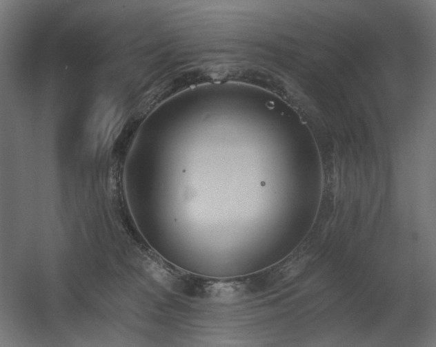 X0000060560277200511031251