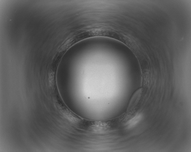 X0000060560278200511031251