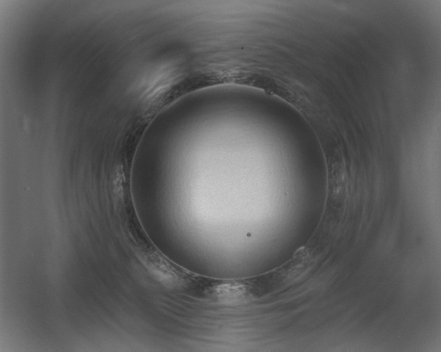 X0000060560279200511031251