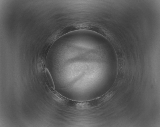 X0000060560281200511031251