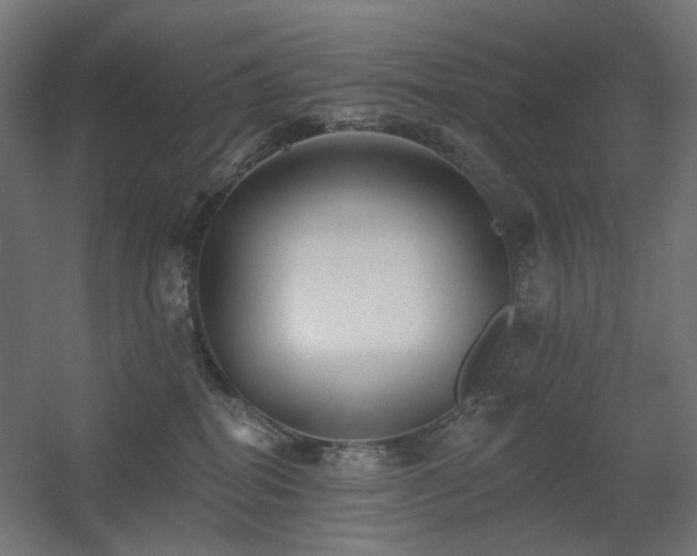 X0000060560282200511031251