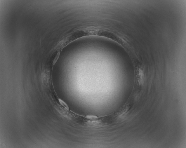 X0000060560283200511031251