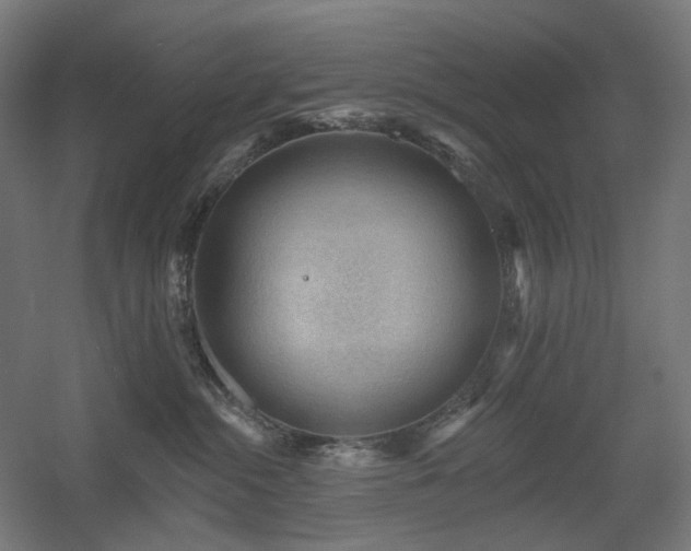 X0000060560284200511031251