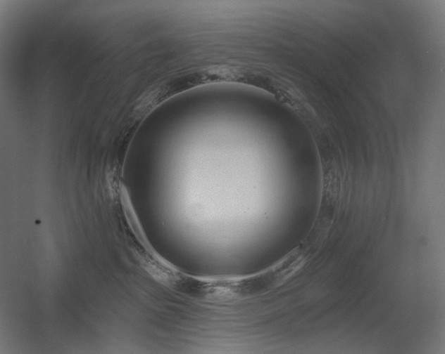 X0000060560285200511031251