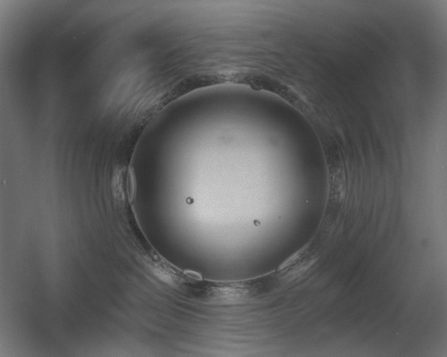 X0000060560286200511031251