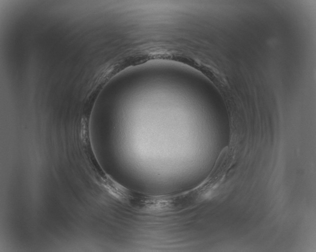 X0000060560288200511031251