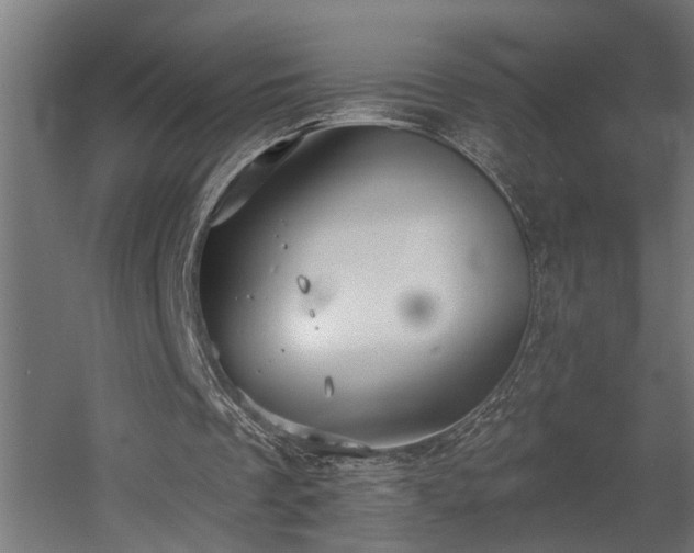 X0000060560289200511031250