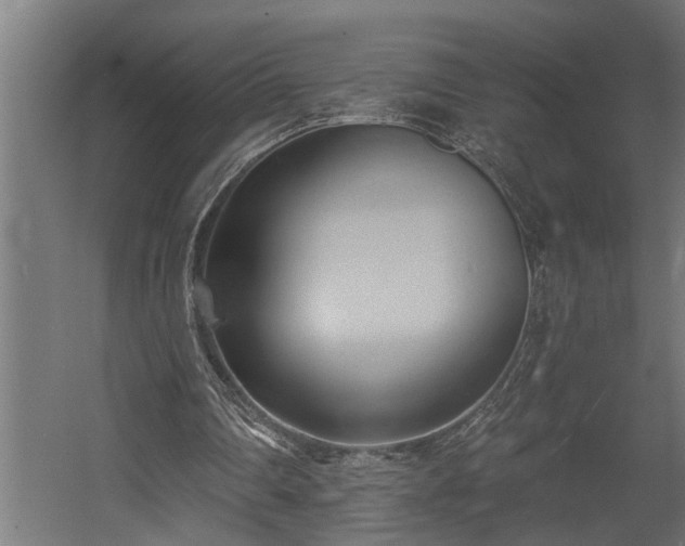 X0000060560290200511031250