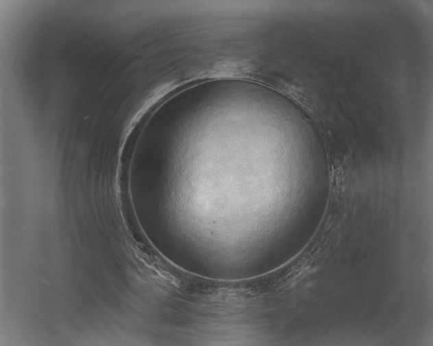 X0000060560292200511031250