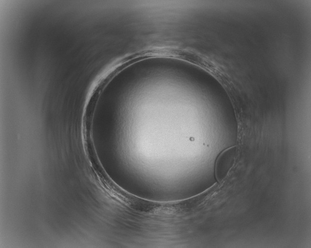 X0000060560294200511031250