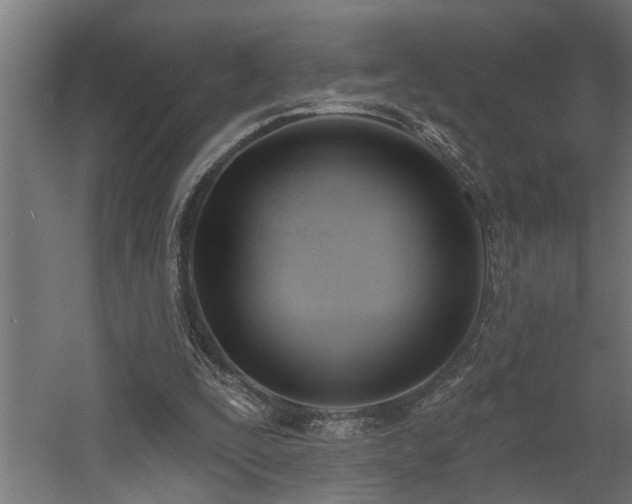 X0000060560295200511031250