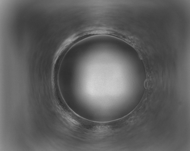 X0000060560296200511031250