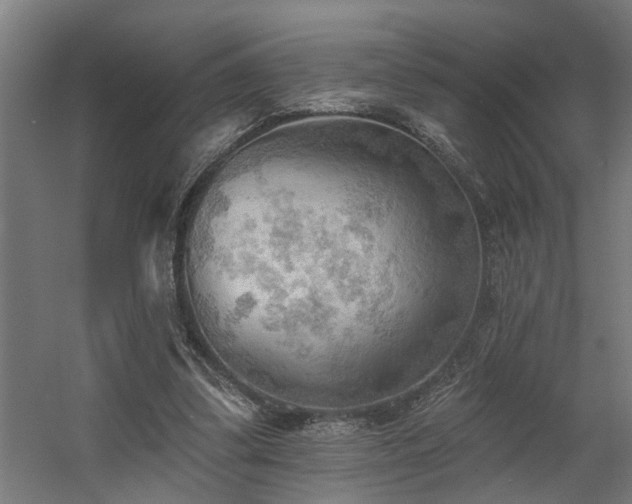 X0000060560299200511031250