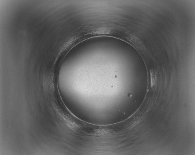 X0000060560300200511031250