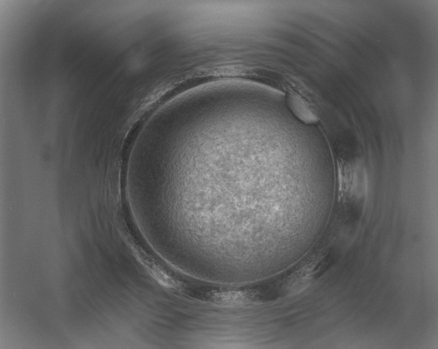 X0000060560301200511031250