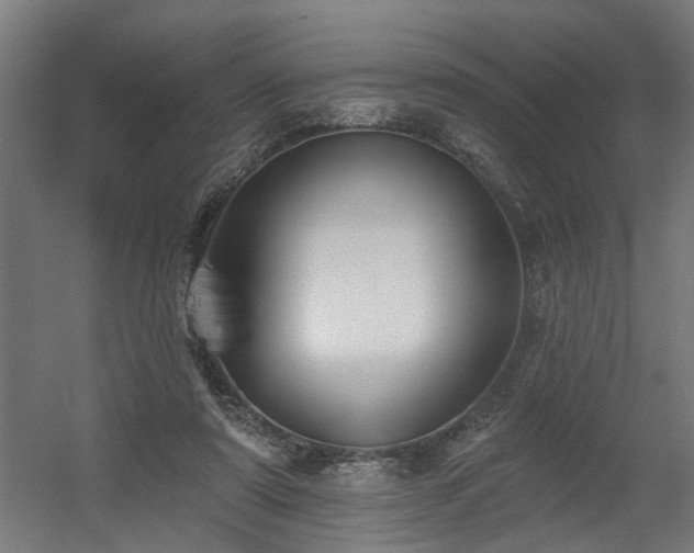 X0000060560307200511031250