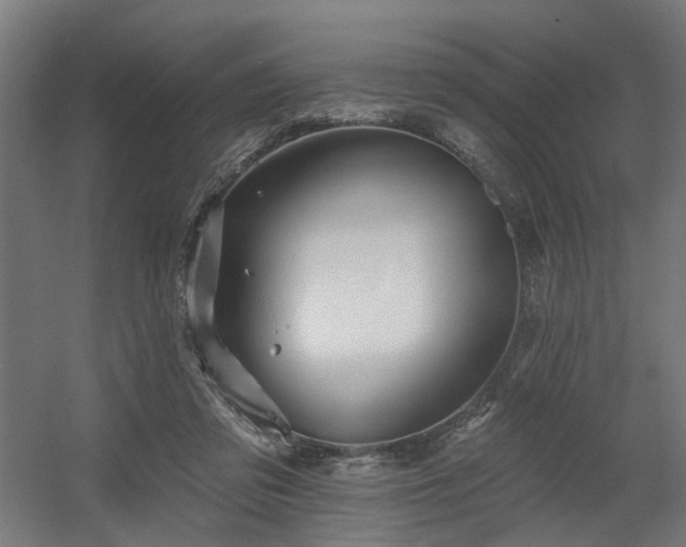 X0000060560309200511031250