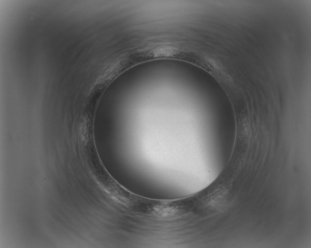 X0000060560311200511031250