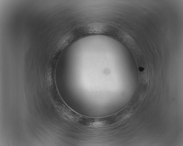 X0000060560312200511031250