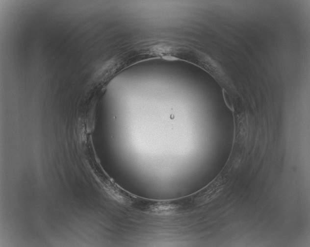 X0000060560313200511031250