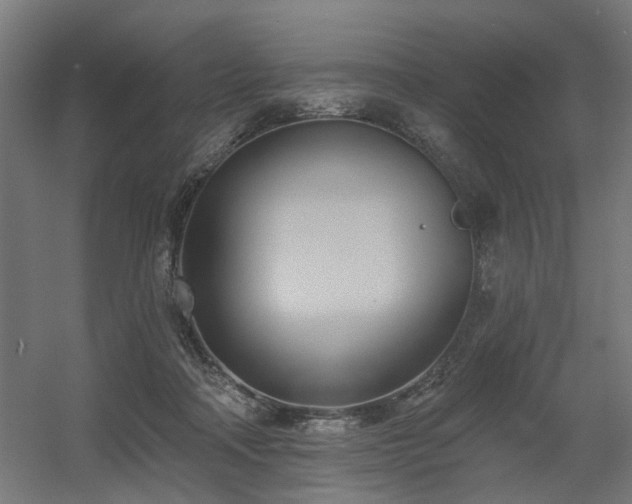 X0000060560314200511031250