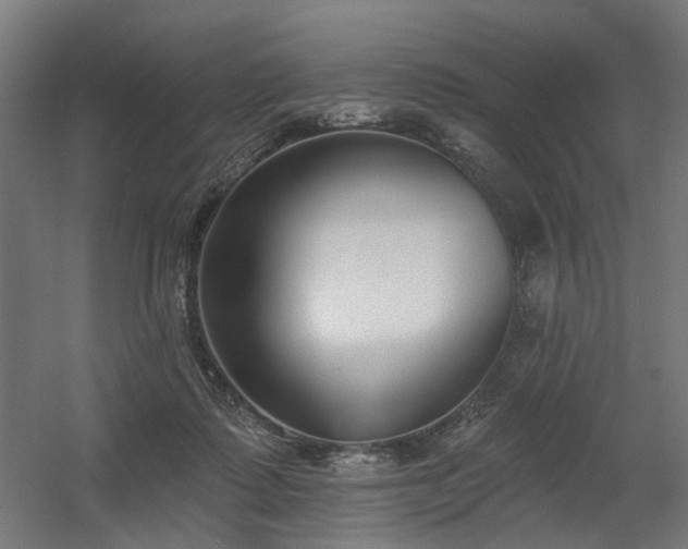 X0000060560315200511031250