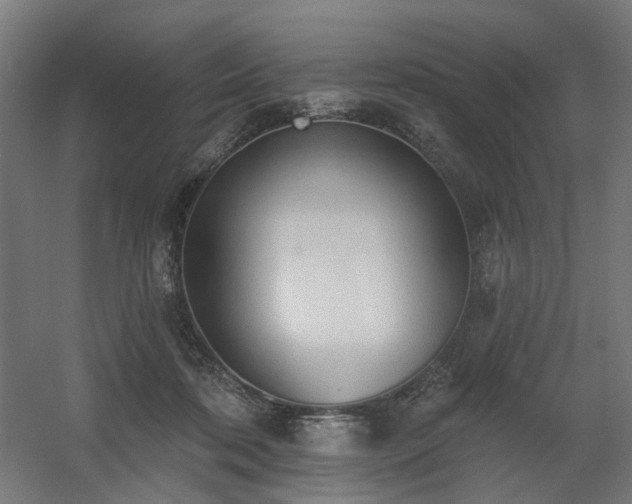 X0000060560316200511031250