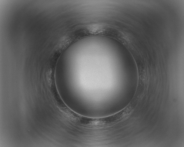 X0000060560319200511031250