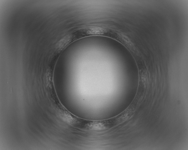 X0000060560322200511031250