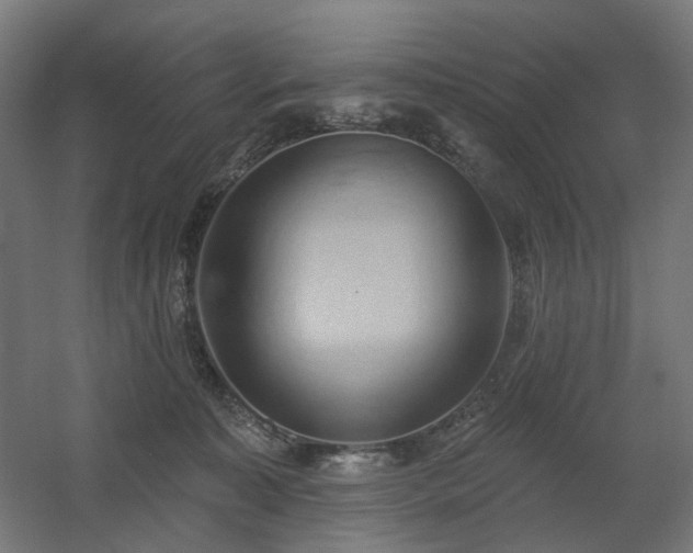 X0000060560323200511031250