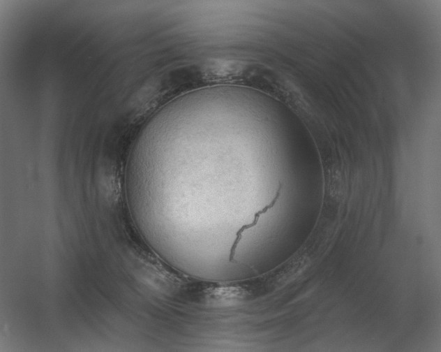 X0000060560324200511031250