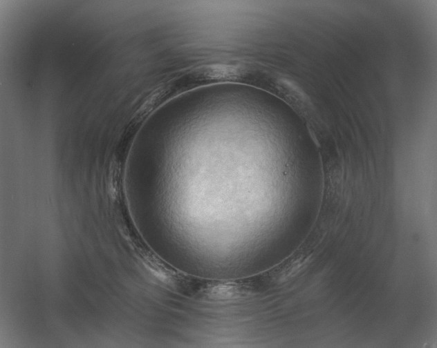 X0000060560325200511031250