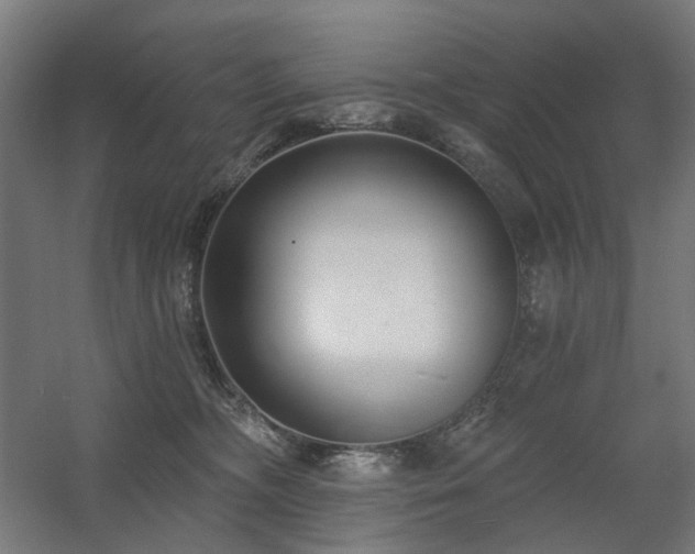 X0000060560326200511031250