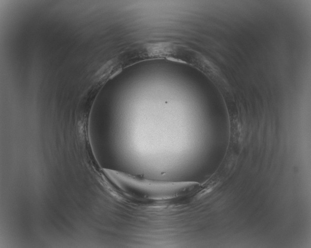 X0000060560329200511031250