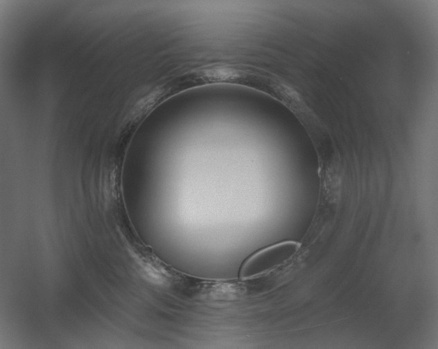 X0000060560330200511031250