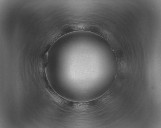 X0000060560331200511031250