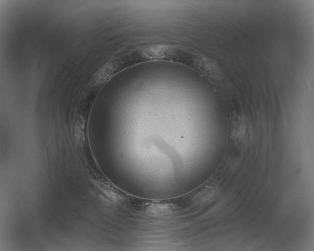 X0000060560332200511031249