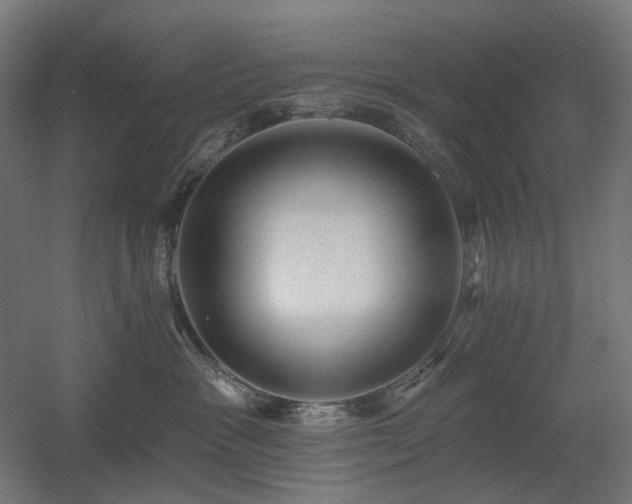 X0000060560333200511031249