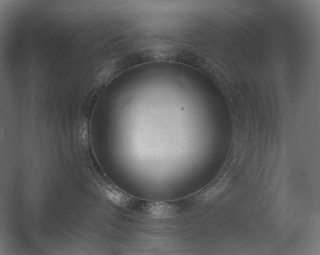 X0000060560336200511031249