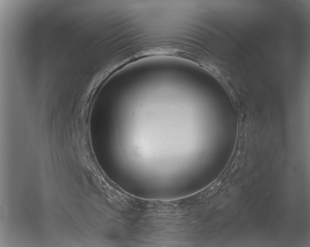 X0000060560337200511031249