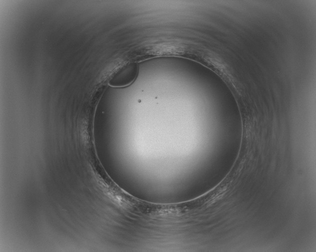 X0000060560353200511031249