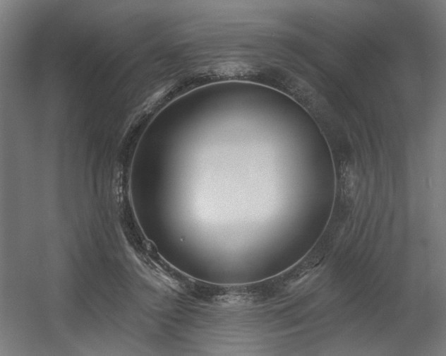 X0000060560356200511031249