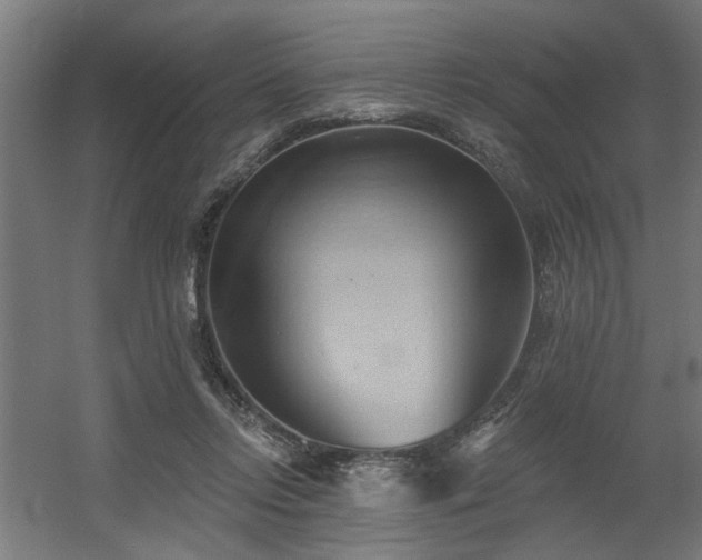 X0000060560358200511031249